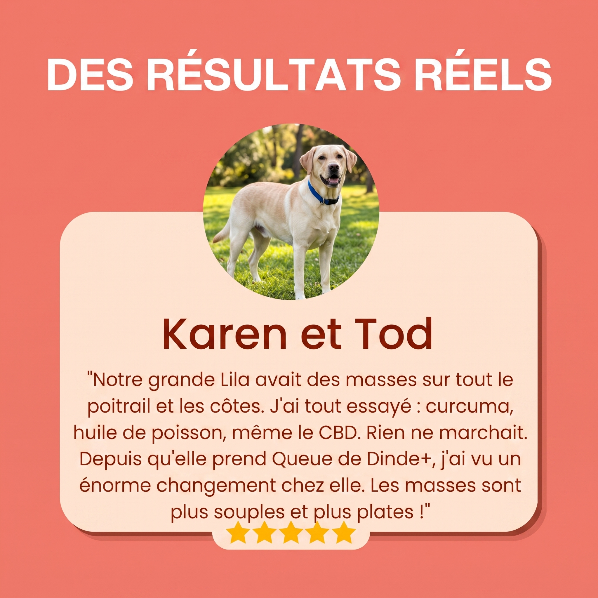 Ajoutez ce mélange à la nourriture de votre chien tous les jours – et regardez ces bosses rétrécir naturellement !