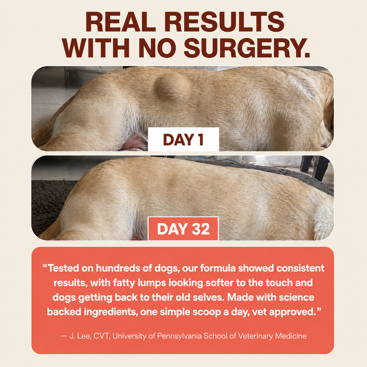 add this blend to your dog's food daily and watch those lumps shrink naturally!