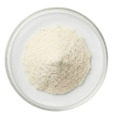 Lactobacillus Acidophilus