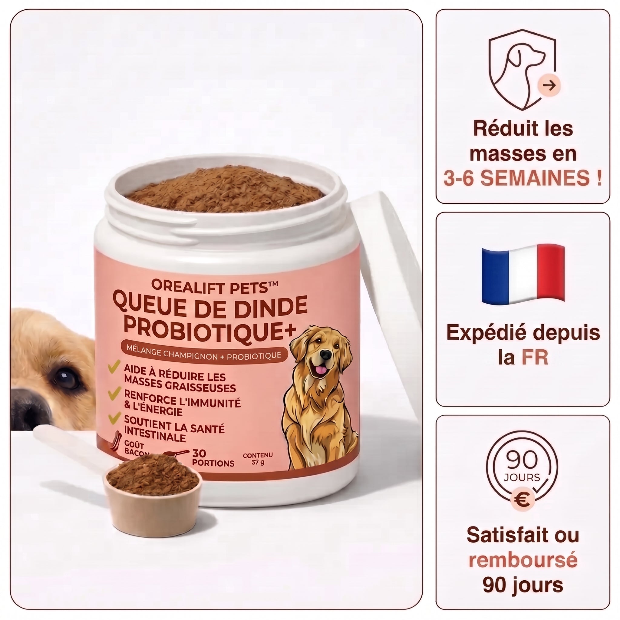Ajoutez ce mélange à la nourriture de votre chien tous les jours – et regardez ces bosses rétrécir naturellement !
