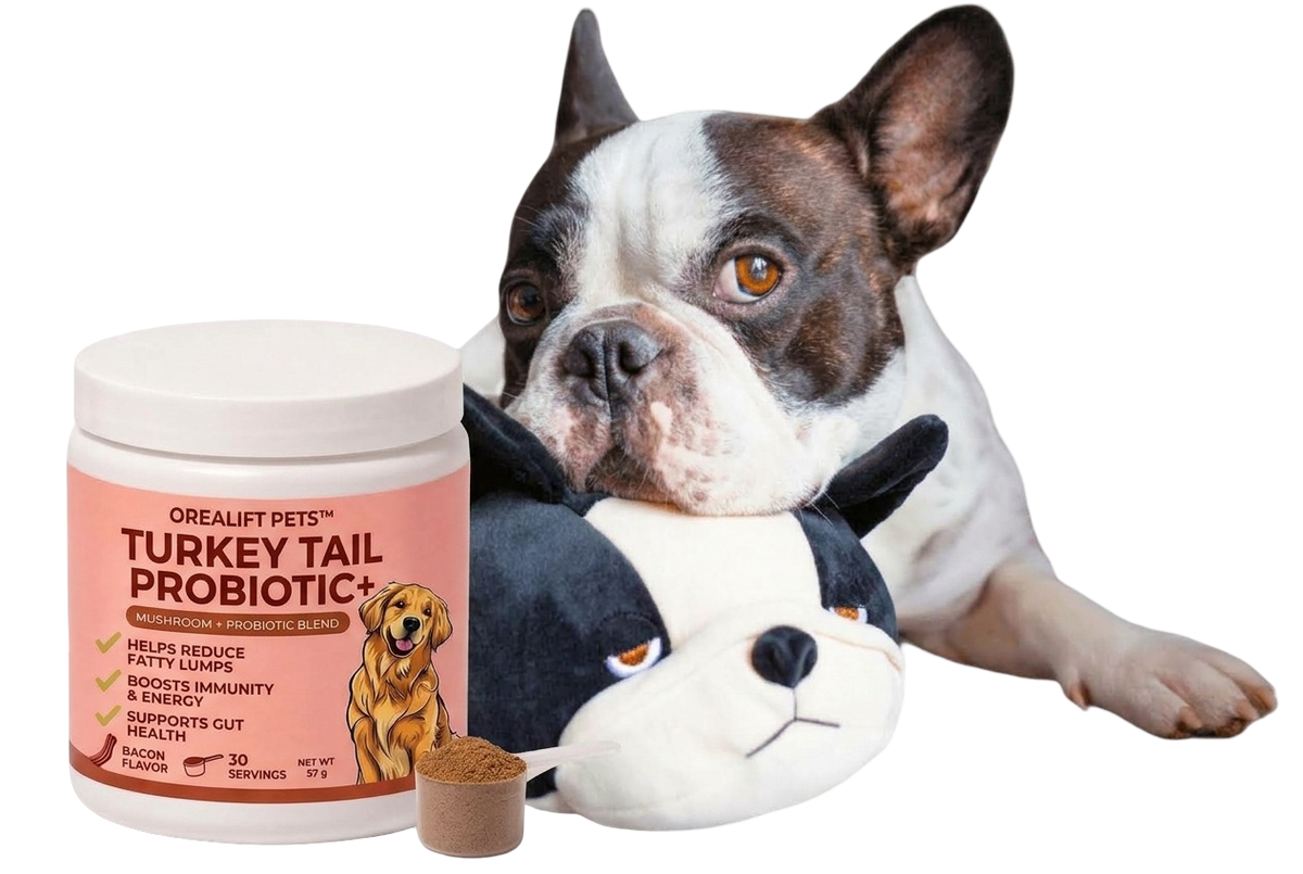 The Supplement For Dogs With Lumps & Bumps