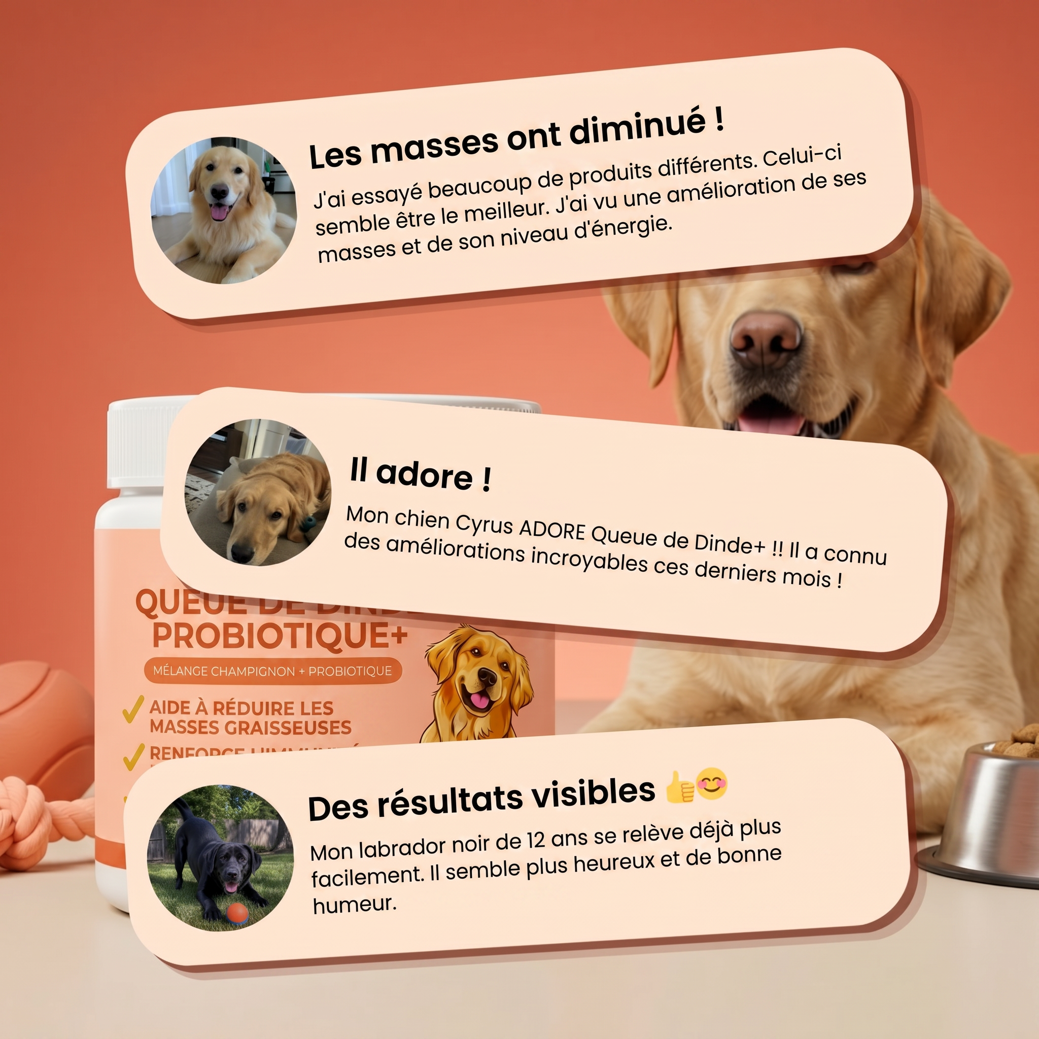 Ajoutez ce mélange à la nourriture de votre chien tous les jours – et regardez ces bosses rétrécir naturellement !
