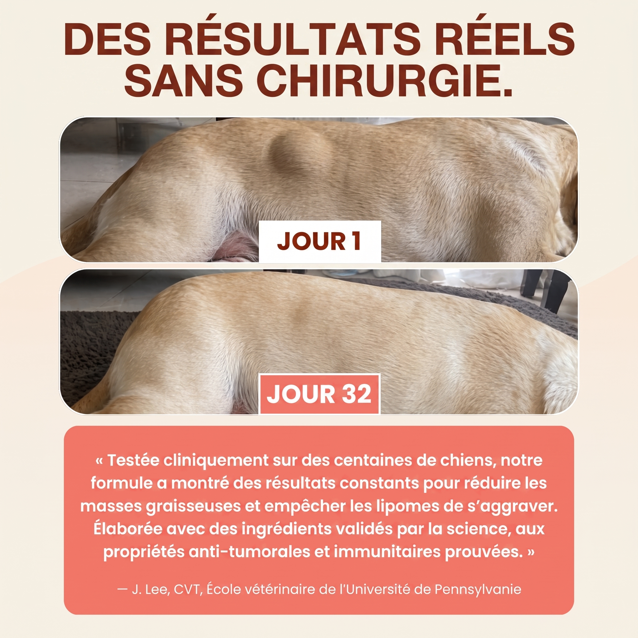 Ajoutez ce mélange à la nourriture de votre chien tous les jours – et regardez ces bosses rétrécir naturellement !