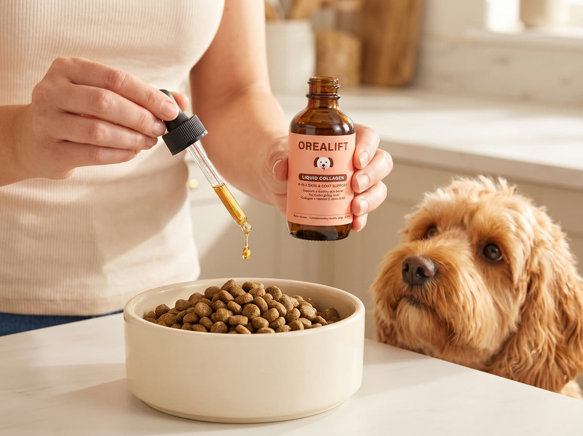 Adding OREALIFT Liquid Collagen to a dog's food with the dropper